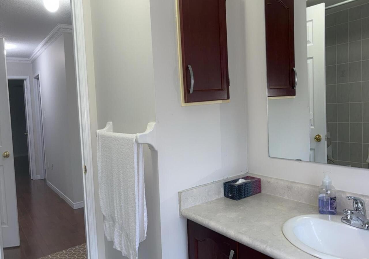 Bright Queen Room Close To Sheridan College And Airport Brampton Rum bild